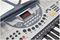 NJS800 - 61 Key Digital Keyboard with Stand