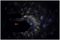 TETRA - Tetra 4-in-1 Multi-Effect Light, Moonflower / Ripple Projector, Laser & UV Strobe