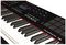 PANORAMA P6 - USB MIDI Keyboard Multi-Controller with DAW Control Panel & Touch Pads