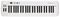CARBON 49. - 49-Keys MIDI Keyboard Controller USB