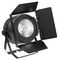 SCENIC W2001 - Scenic Warm & Pure White LED PAR Light with Barndoor, 200W
