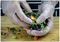 38826 - Delight PD Premium Clear Powdered Vinyl Gloves - Small, 100 Pack