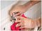 49227 - Unique TPE Superstretch Clear Disposable Gloves - Medium, 200 Pack