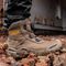 LANDER STONE 8 - Nubuck Lander BOA Safety Boots, Stone - Size 8