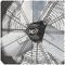 5635 - 20" Heavy Duty Orbital Floor Fan
