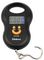 D03411 - 50kg Hanging Scale