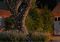 LW100 - Lumify USB Solar LED Fairy Lights, Cool White, 10m, 100x LEDs