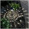 PELL0263 - Solar Powered LED Pathway Lights, 5200K, IP44, Pack of 4