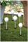 GL1042EZ - Solar Powered LED Garden Lights, 1lm, 6500K, IP44, Pack of 5