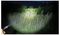 NSEXPLORER1200 - Explorer 1200 Rechargeable LED Torch, 1200lm, IPX7, Black