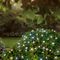 LS230092CW - 200 LED Solar String Lights, Cool White, IP44, 12m