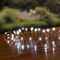 LS230113CW - 100 LED Solar Microbrights Pinwire String Lights, Cool White, IP44, 5m