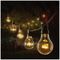 LT181010WW - 20 Bulb Low Voltage Festoon Lights, Warm White