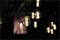 LF1022 - Solar LED Festoon String Lights, 3.5m
