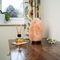 1902 - Himalayan Salt Lamp