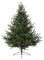 TR600GNS - 1.8m Glenshee Spruce Natural Christmas Tree
