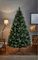 TR700DEN - Denver Spruce Christmas Tree, 2.1m