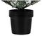 TR300PFL - Flocked Lapland Potted Christmas Tree, 90cm