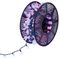 LV221689RBW - 300 Rainbow LED Pine Cone String Lights