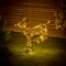 LV243220 - 68cm Lit Rattan Deer with Colour Switch