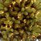 NT650KWL - 2m Pre-Lit Kingswood Slim Christmas Tree