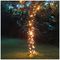 EC10003 - 40 LED Connectable String Lights with Black Cable, Copper Gold, 5m