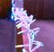 EC10088 - 250 LED Connectable Cluster Lights with White Cable, RGB, 5m