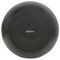 PS65-B - Pendant Speaker, 100V 30W RMS - Black