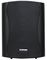BGS 50T BLACK - 100V / 8 Ohm Speakers, 50W RMS - Black (Pair)
