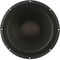 T5832 - 12 Inch Mid-Bass Speaker Driver, 8 Ohm, 300W RMS