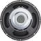 T5832 - 12 Inch Mid-Bass Speaker Driver, 8 Ohm, 300W RMS