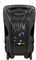 BUSKER-15 - 100W 15" Busker Portable PA USB/SD/FM/BT with UHF Microphones