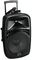 EZ12A - 50W 12" Portable PA Speaker, 2x Wireless Mics & USB/BT