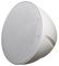 FALCON 2 WH - 30W 8” Pendant Speaker 8 Ohm/100V, White