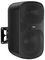 TNI-W6-BK - 55W 6.5" Installation Wall Speaker 70V/100V/8 Ohm, Black