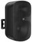 TNI-W8-BK - 65W 8" Installation Wall Speaker 70V/100V/8 Ohm, Black
