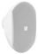 D3841 - 6.5" Wall Mount Loudspeaker, 40W White