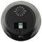 DP530B - 30W Pendant Speaker, Black