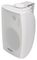 BM5V-W - 100V Wall Mount Background Speaker, 30W RMS