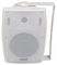 BM6V-W - 100V Wall Mount Background Speaker, 40W RMS