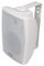 BM6V-W - 100V Wall Mount Background Speaker, 40W RMS