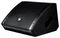 WX8A - 2 Way Active Wedge Stage Monitor, 500W, 8" Woofer