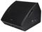 CM12 - 178.693UK - 12" Passive Wedge Monitor Speaker, 300W RMS