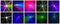 LIGHTSHOW 6FX - 6 in 1 LED Light Effect, Strobe, UV Crystal Ball, Laser, LED Wash and Gobos