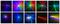LIGHTSHOW 6FX - 6 in 1 LED Light Effect, Strobe, UV Crystal Ball, Laser, LED Wash and Gobos