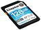 SDG3/128GB - 128GB Canvas Go! Plus SDXC Memory Card, Class 10 UHS-I U3 V30 170MB/s Read