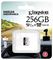 SDCE/256GB - 256GB Endurance MicroSDXC Memory Card, Class 10 A1 UHS-I U1 95MB/s Read