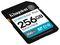 SDG4/256GB - 256GB Canvas Go! Plus SDXC Memory Card, Class 10 UHS-I U3 V30 200MB/s Read
