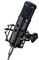 VOXTAKER 192 PRO - 192kHz/24-bit USB Studio Condenser Microphone Kit