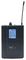 DT600BP - Beltpack Microphone Wireless System 606-614MHz, MIC73V2